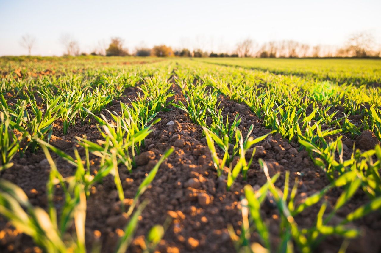 University to host screening for new farming documentary