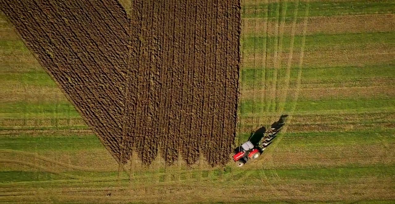 Giant anti-Brexit message ploughed into English field