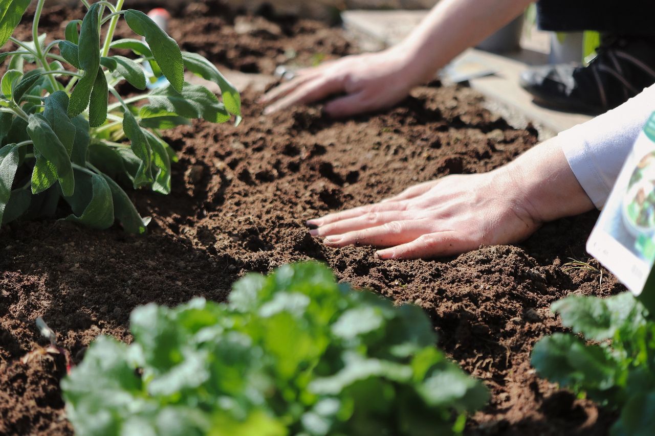 Soil Association disappointed over new precision breeding law