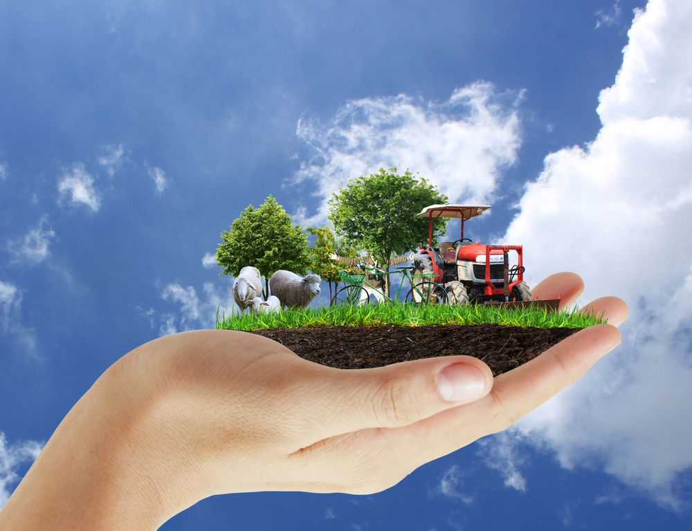 Greening of direct payment, on-the-farm outline by EU agri expert