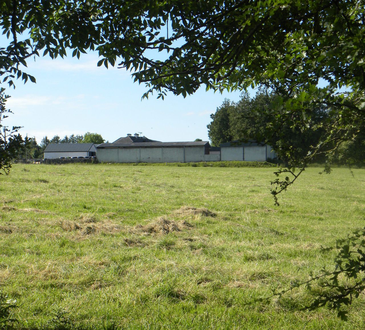 'Government must deliver farm labour solutions before Brexit'