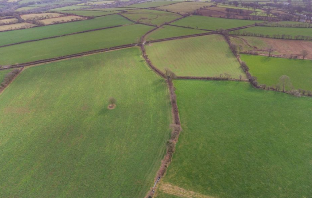 Farmland values reach six-year high - Strutt & Parker