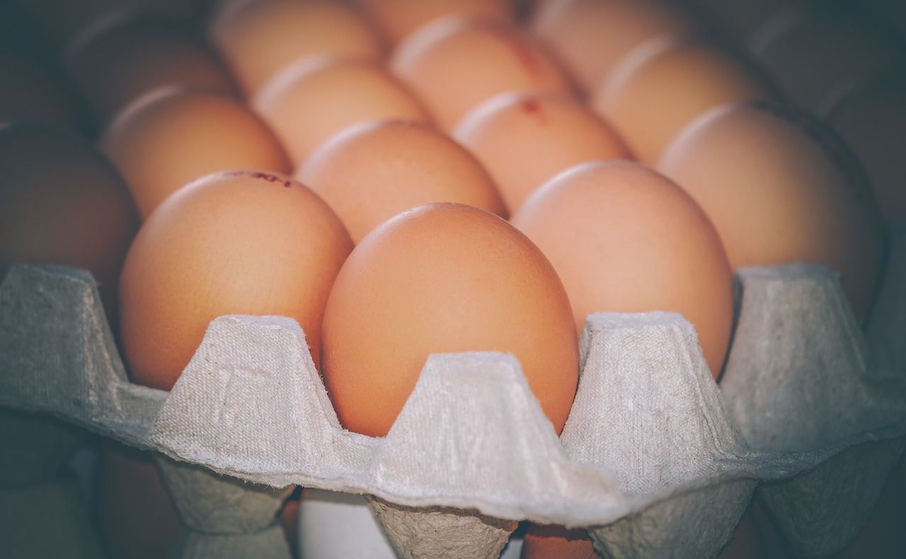 Egg industry launches £100,000 'food porn' ads to crack Millennial market