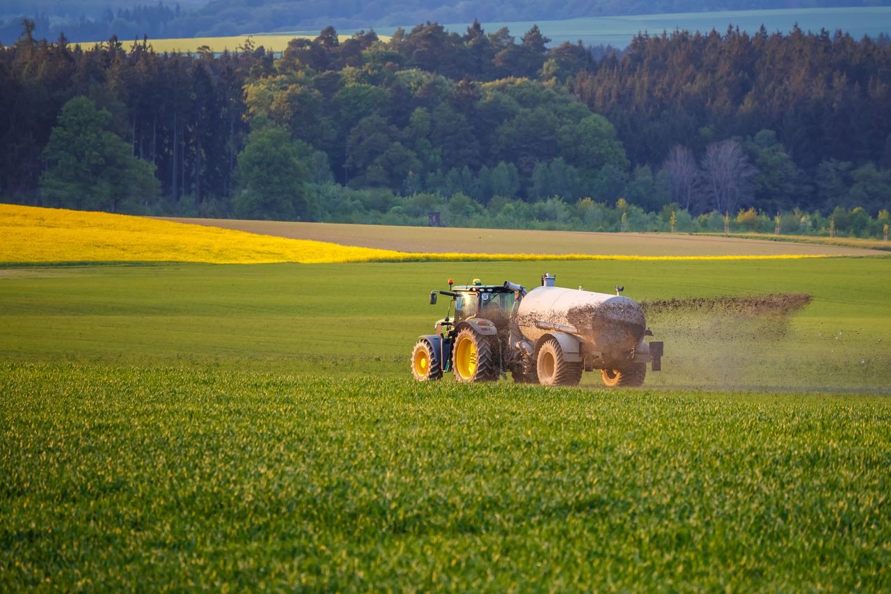Spring nitrogen planning: Using excess winter rainfall data