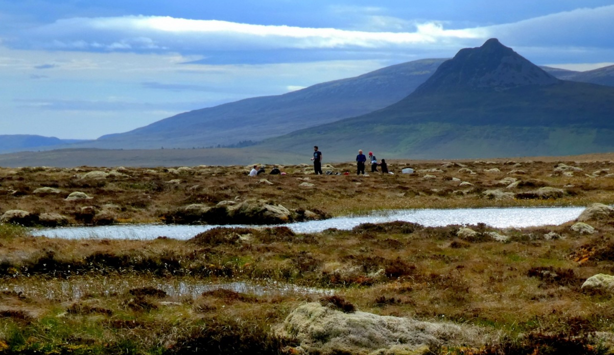 Flow Country becomes world's first peatland UNESCO World Heritage site