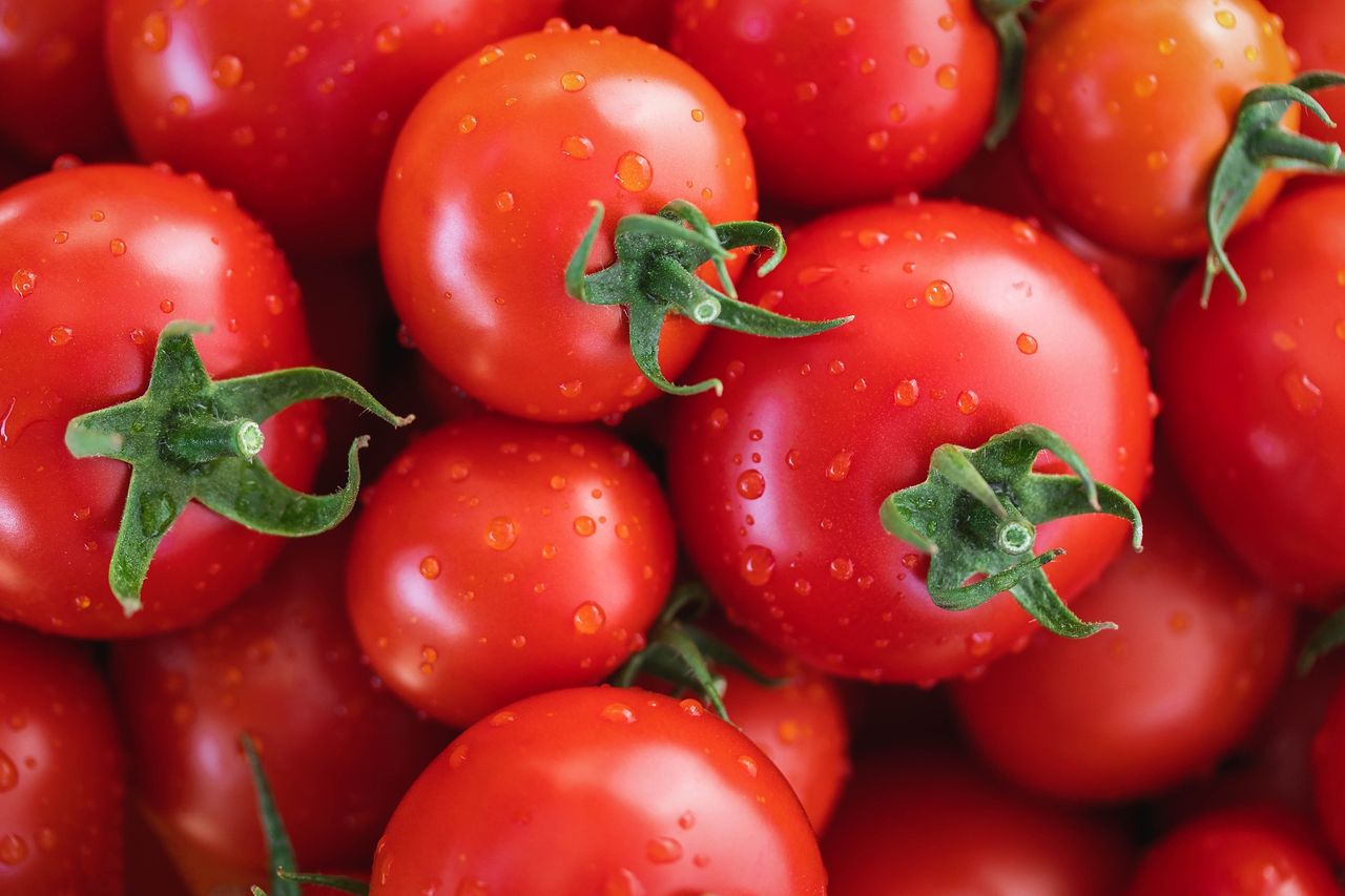 Retailers asked to review farmer relationships amid shortages