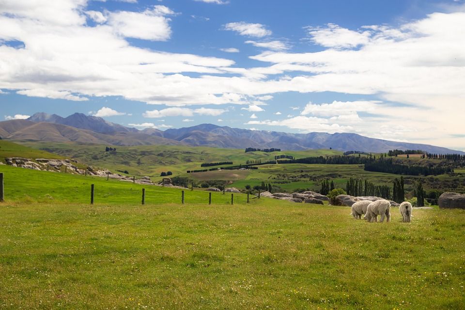 Defra accelerates payments for SFI 2023 agreements