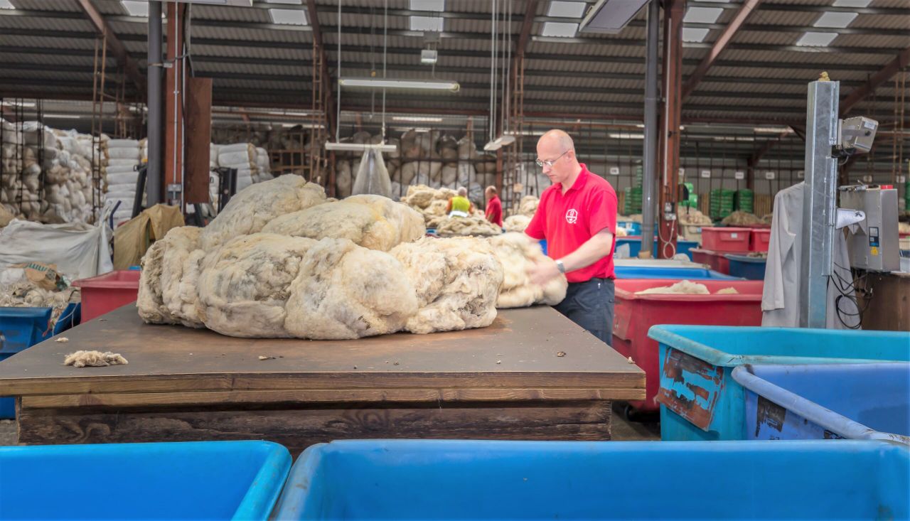 Ulster wool prices expected to be up 10p/kg on 2017
