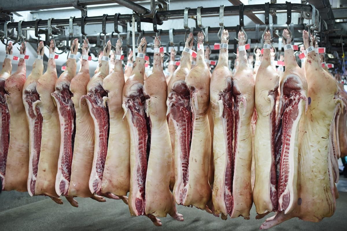 Co. Antrim meat plant forced to close as ‘significant’ Covid-19 cluster forms