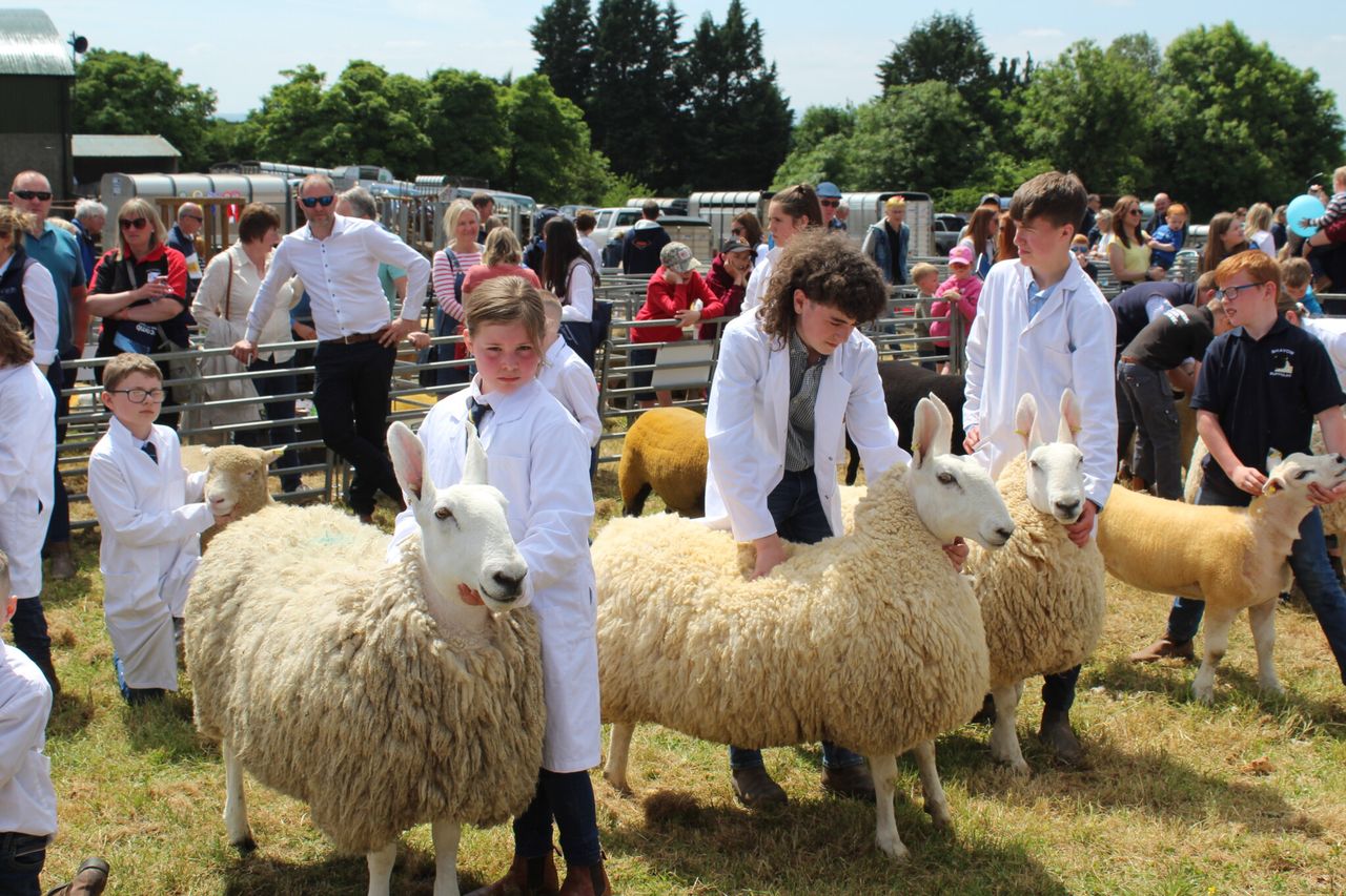 Opinion: No show like an agri show in Northern Ireland