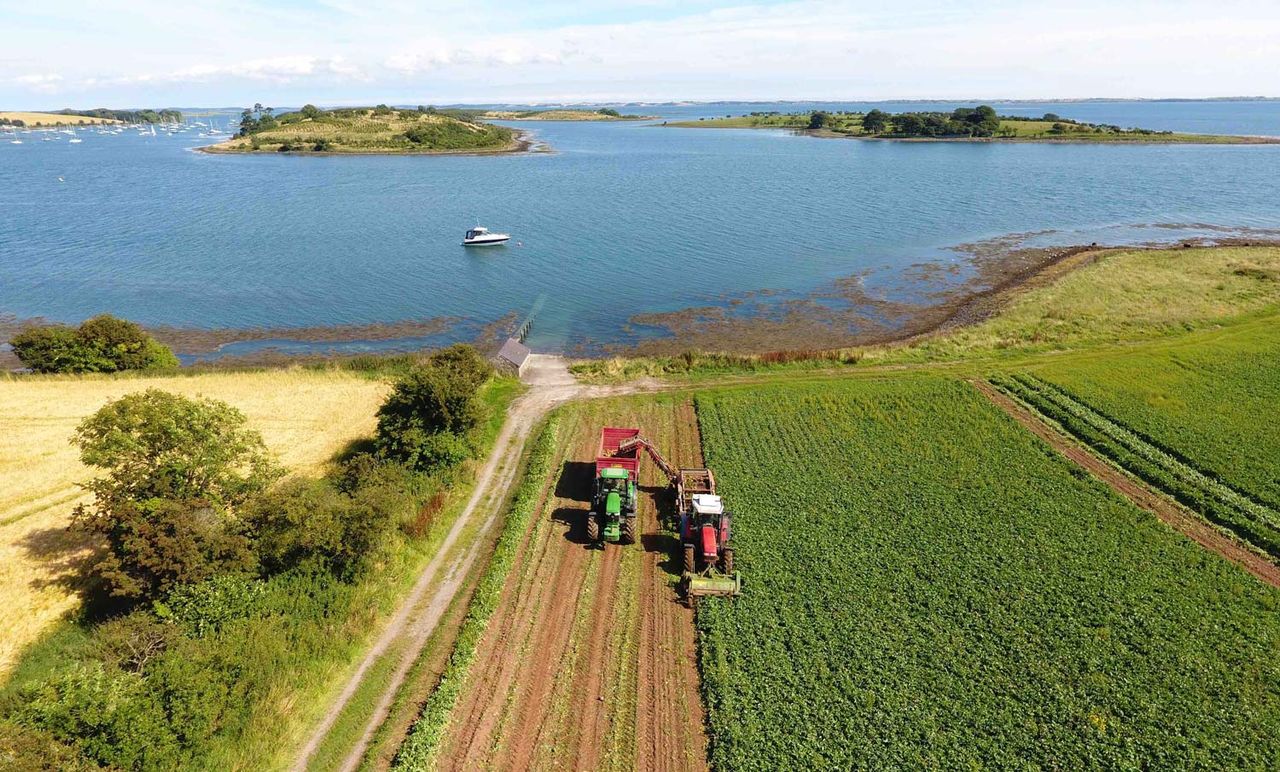 NI grower launches online shop for value-added veg