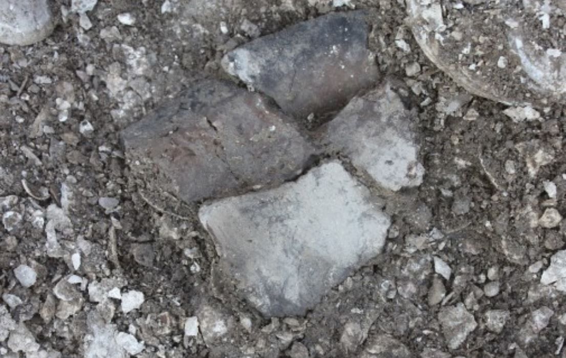 Study traces spread of early dairy farming across western Europe
