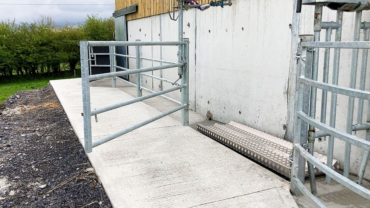 ‘Where’s the cows daddy?’ UFU tells of farmers’ heartbreak over bovine TB