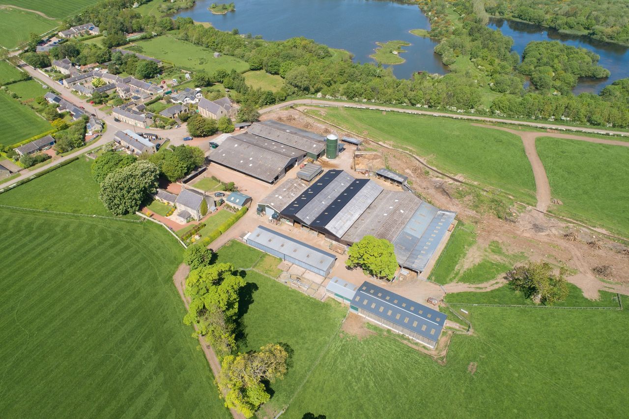 Northumberland arable and livestock farm guiding at £6.75m