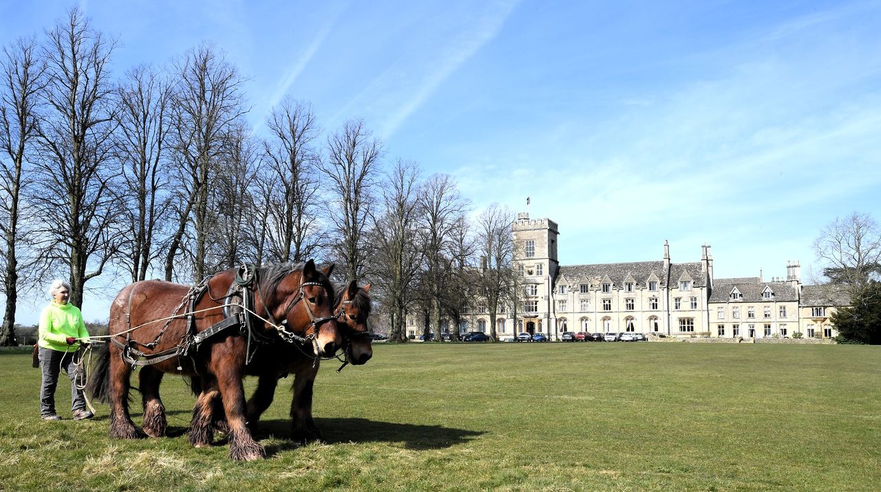 Heavy horses return to Royal Agricultural University