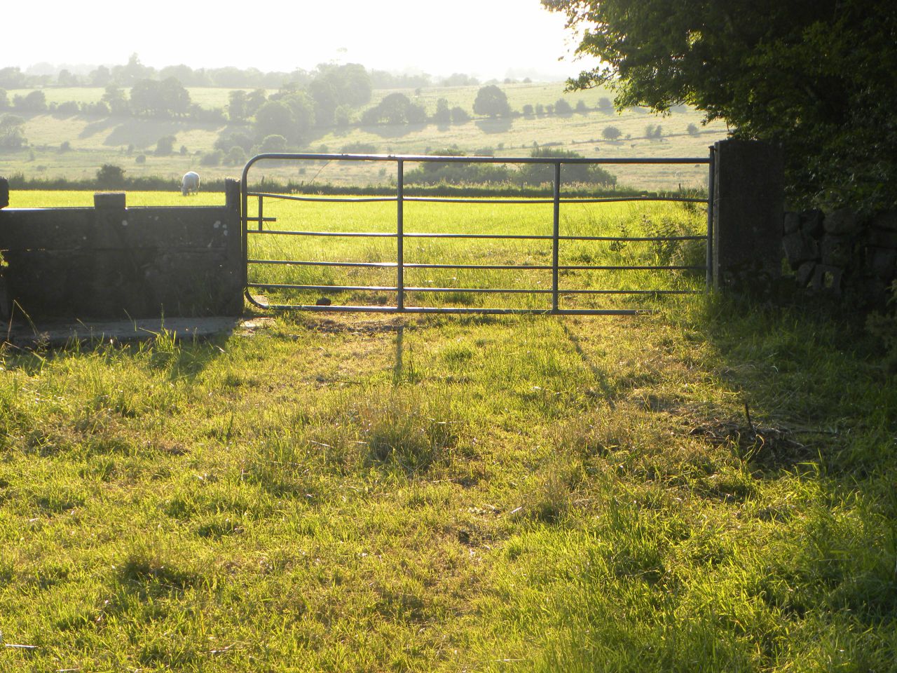 Grass advice: Closing up grass for spring 2016 has begun on some farms