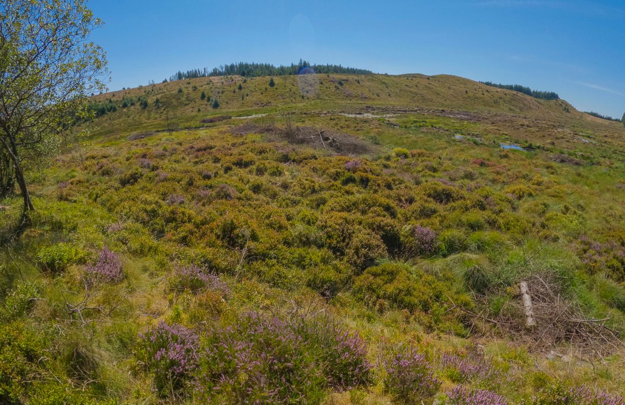 Wales to triple peatland restoration targets