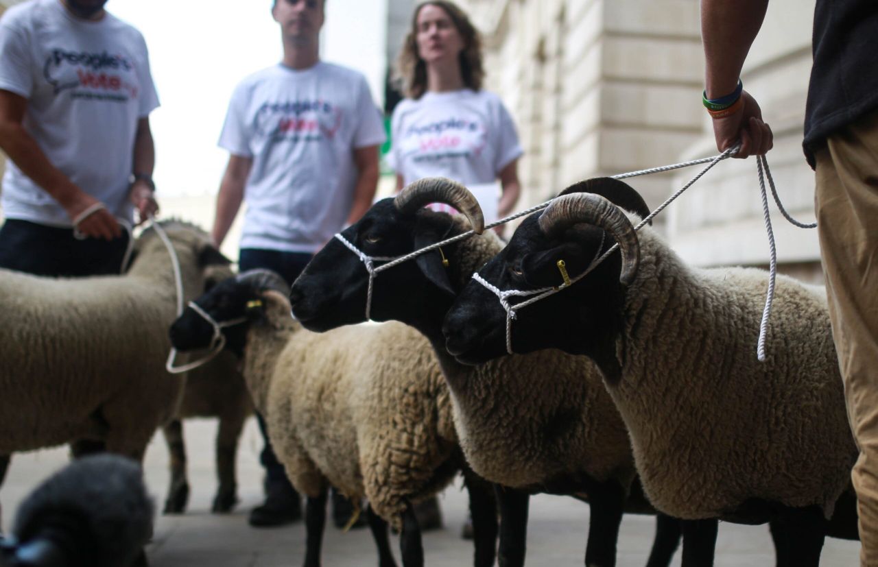 Defra slams 'inaccurate' People's Vote claims