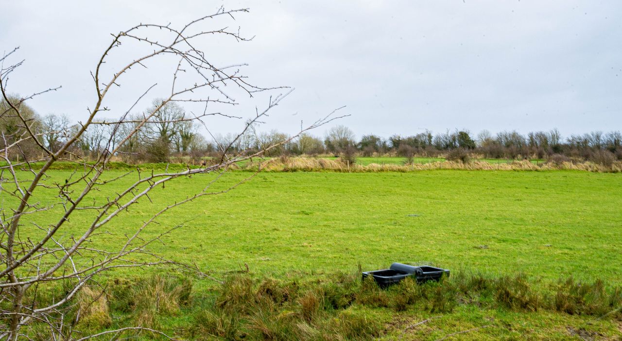 Strategic strand open for applications for NI Environment Fund