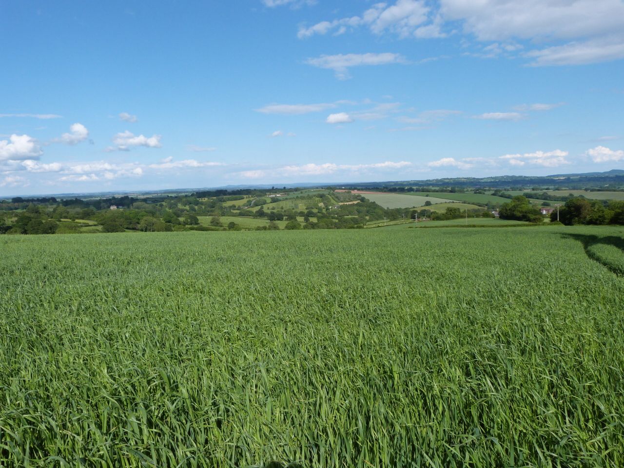 334ac at Worcestershire sees productive farmland for sale on 9 lots