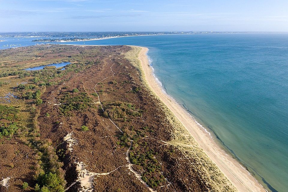 UK’s first ‘super’ National Nature Reserve on Purbeck Heaths