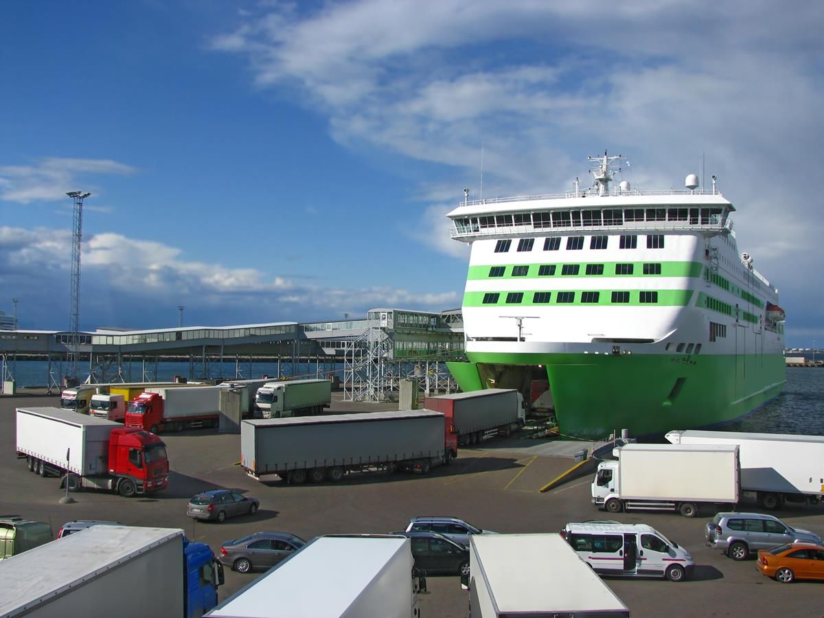 ‘Live cattle exports will help boost beef farmers incomes’