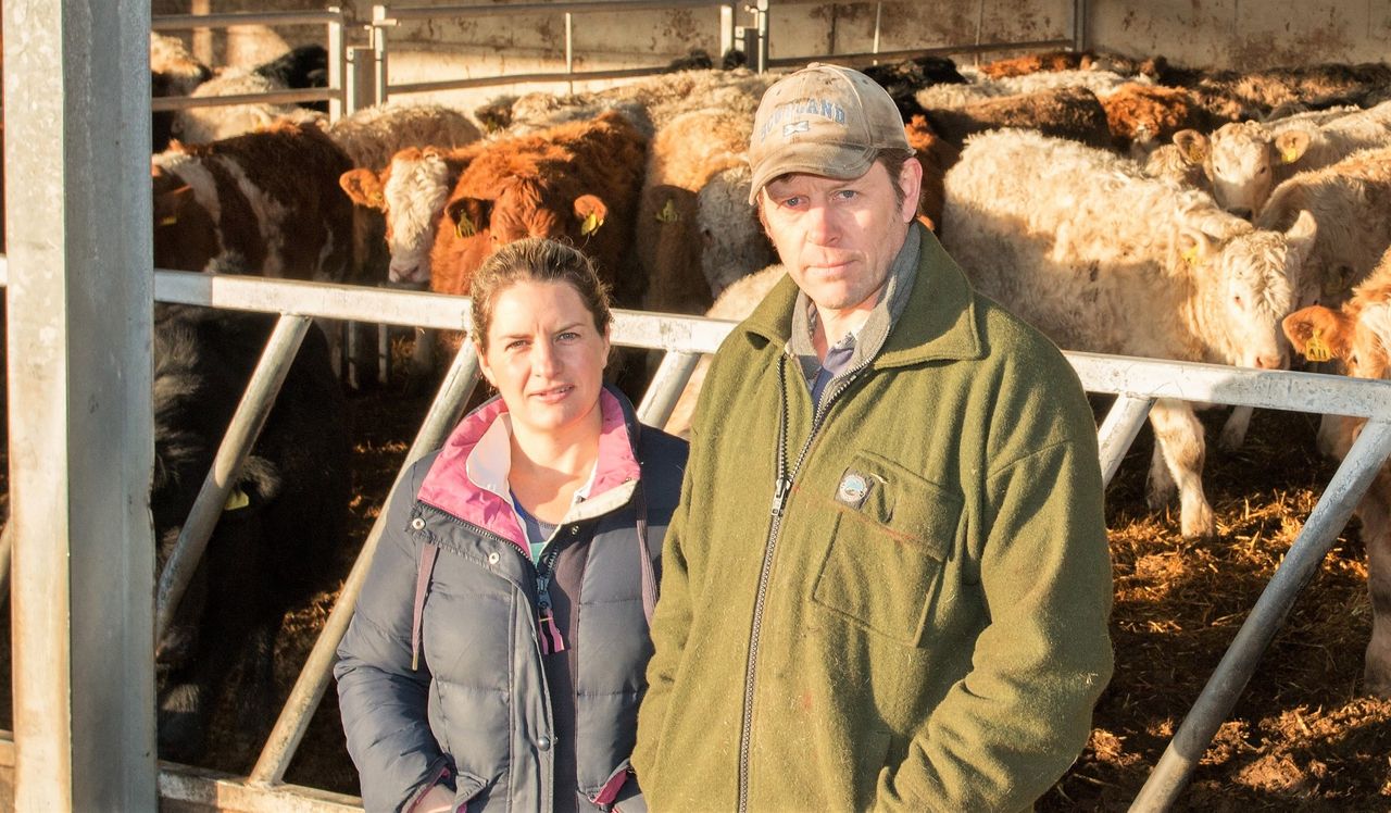 Are you making the best use of your feed over winter?