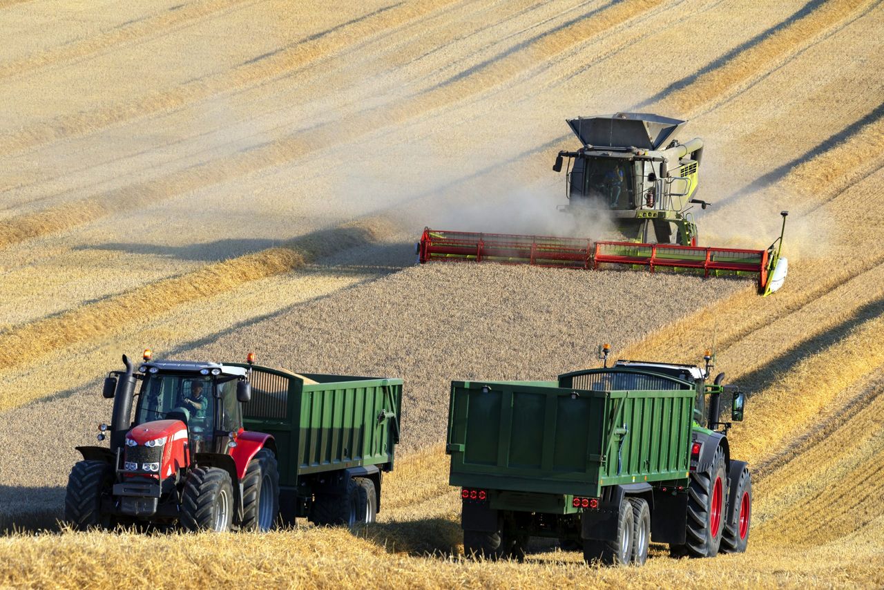 2026 grain yields fall by 30% in parts of UK