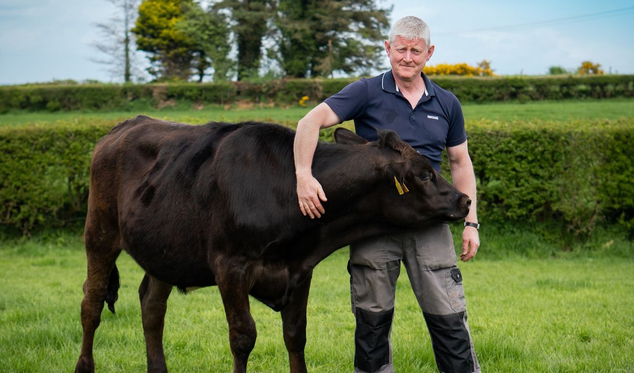 Balmoral Show 2023: M&S enjoys strong trading year