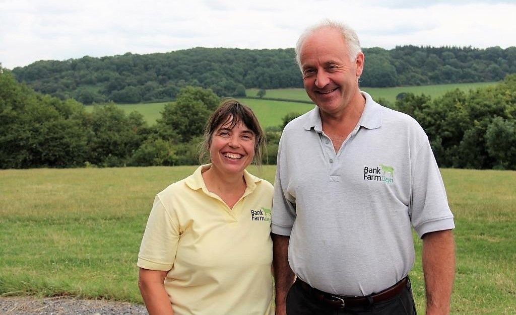 Worcestershire Lleyn flock sees greatest genetic improvement over last 10 years