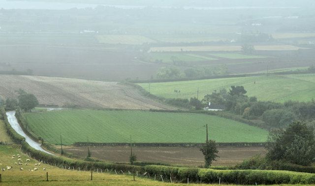 UFU: ‘Genuine partnerships needed to tackle ammonia’