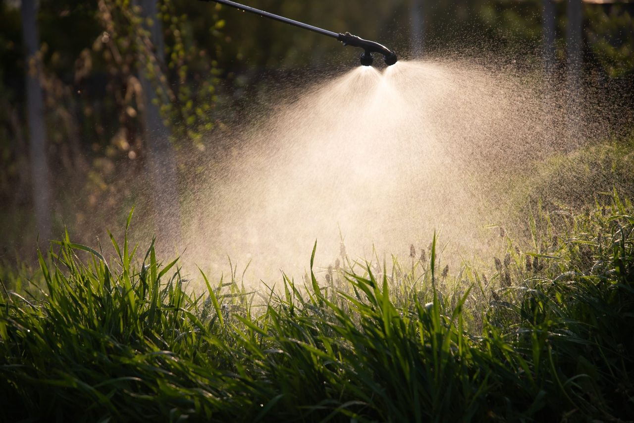 DAERA urges farmers and growers to take part in pesticide usage survey
