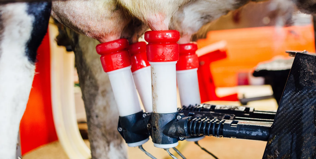 Robotic Dairy Forum to offer information on 'every stage of conversion'