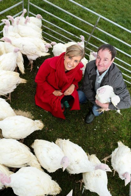 Let's talk turkeys