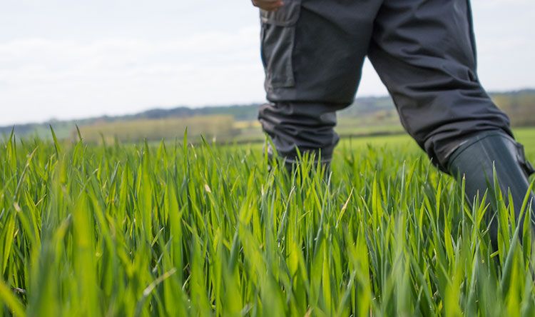 CAAV is equipping UK agriculture 'for the future'