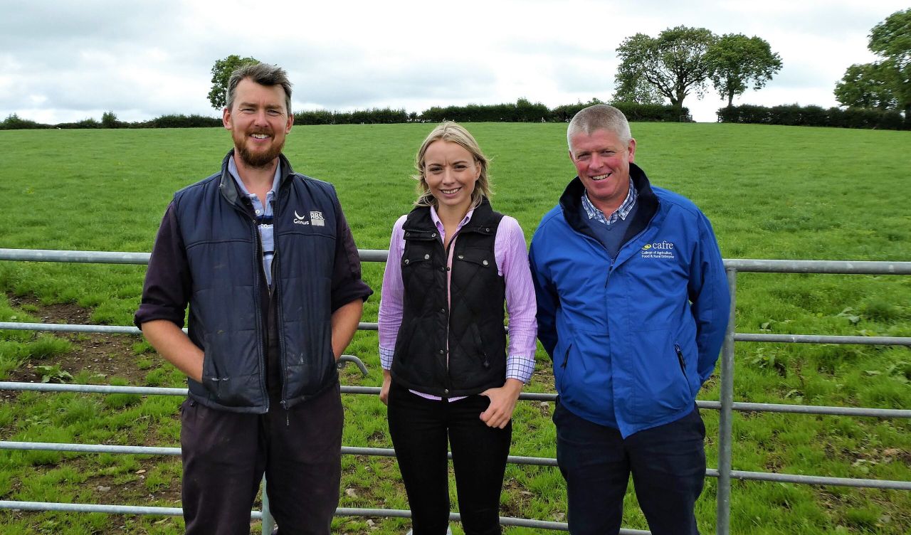 Using fake grass to boost utilisation of the real stuff in Co. Tyrone