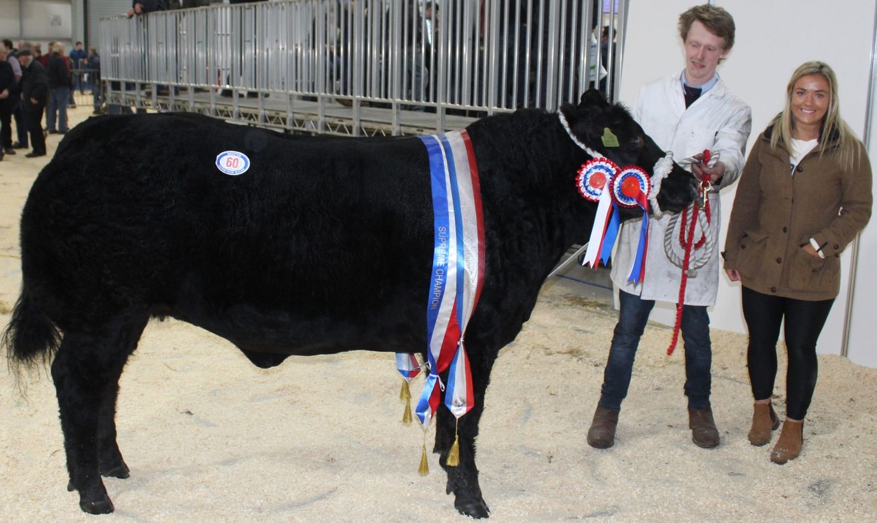 Miller steals the show at Beef and Lamb Championship