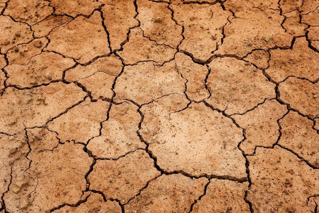 National Drought Group agrees to plan for future risk