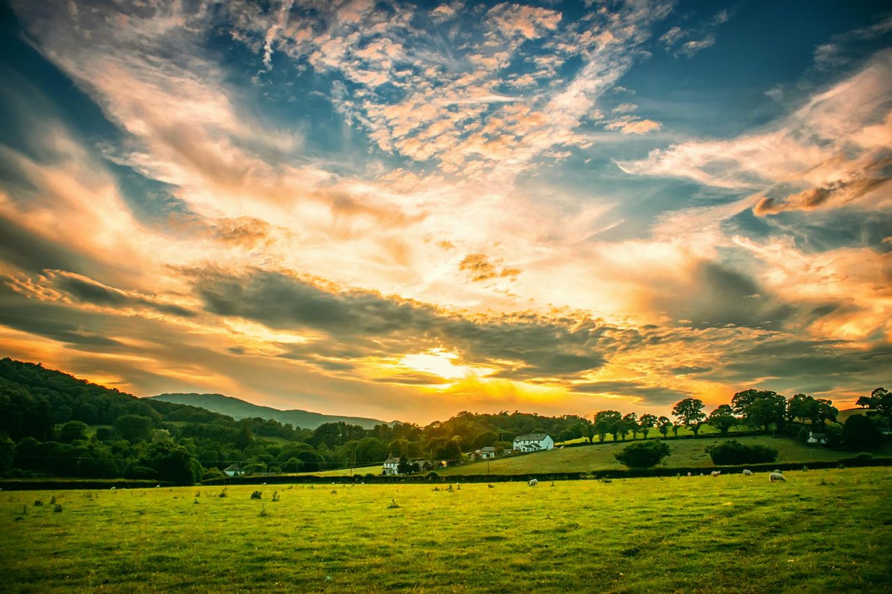 Could the rural economy one day pay the salaries of up to 500,000 NHS nurses?