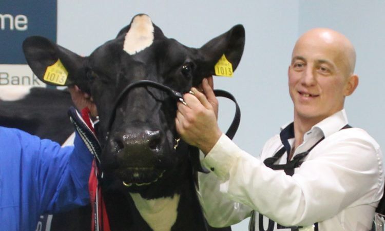 Co. Dublin breeder wins Royal Ulster Winter Fair Inter-Breed Championship