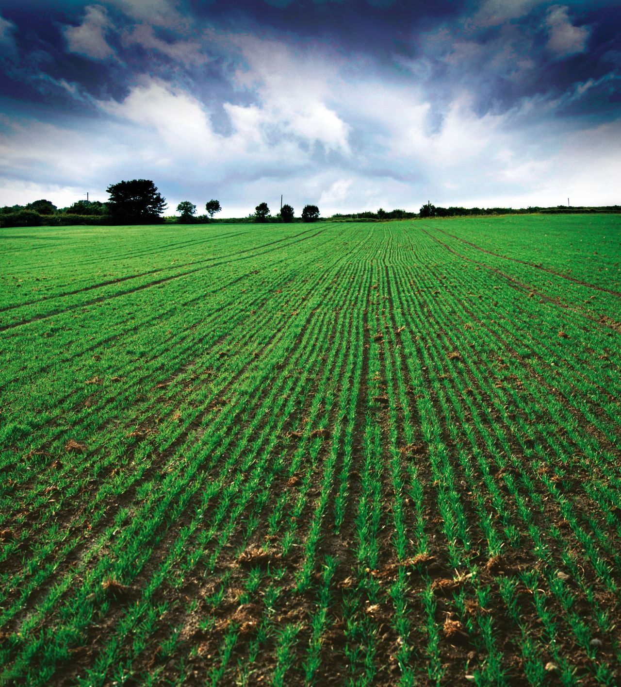 AHDB Harvest Results service to return for 2019