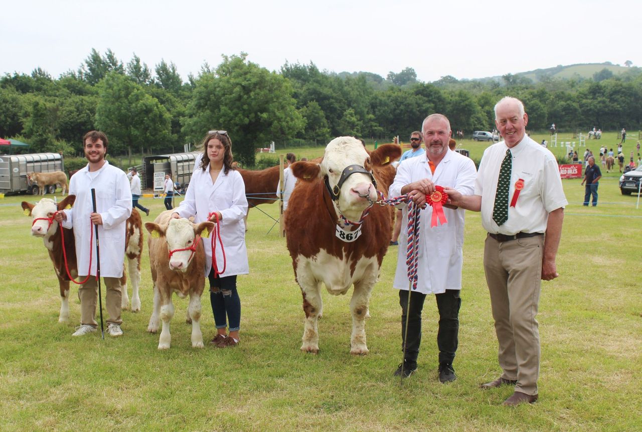 Super Simmental cow carries the day at Saintfield Show