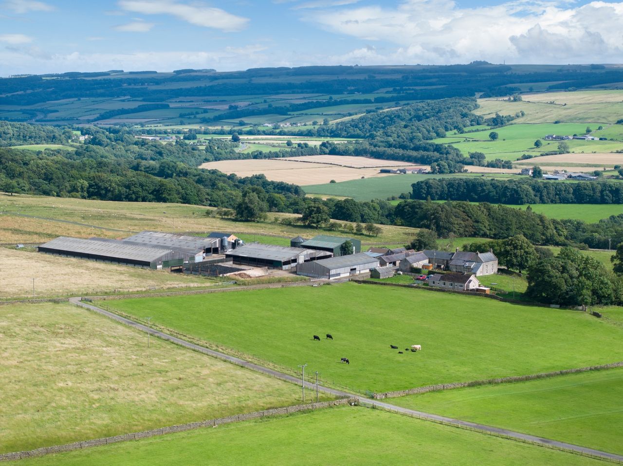 GSC Grays brings 1,800ac livestock farm to the market