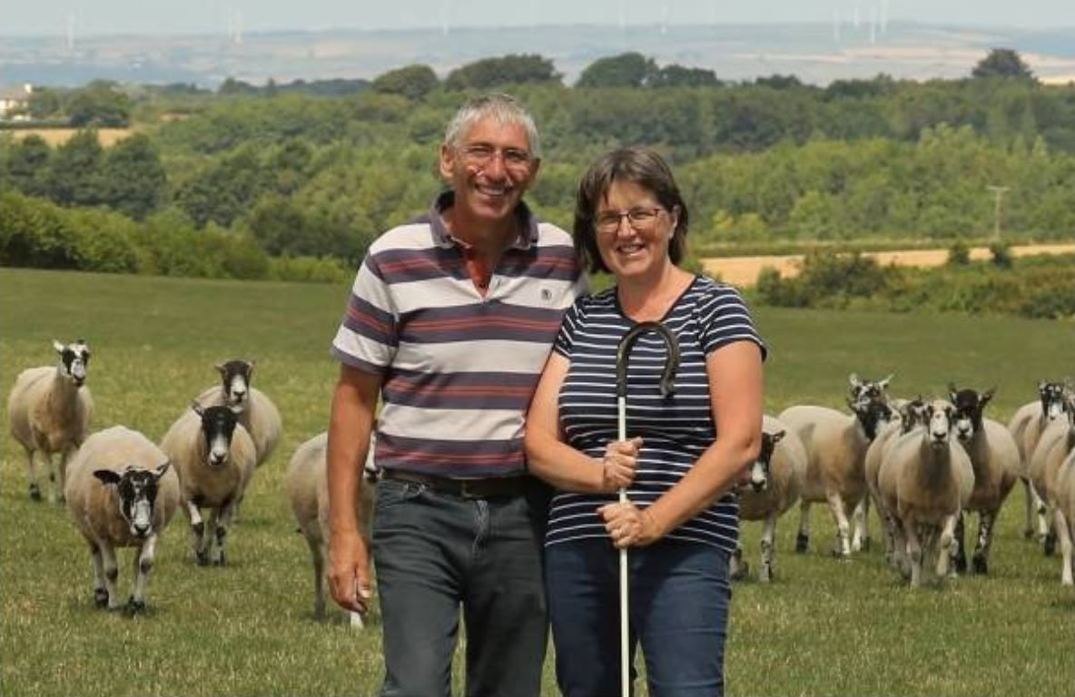 NSA chairman to host sheep event in 2019