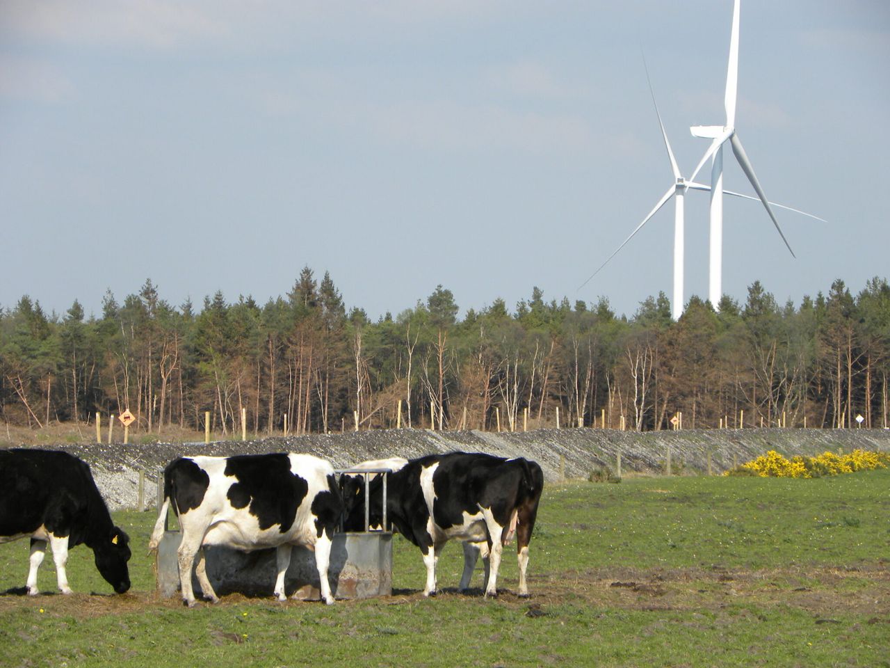 DARD to host on-farm renewable energy event
