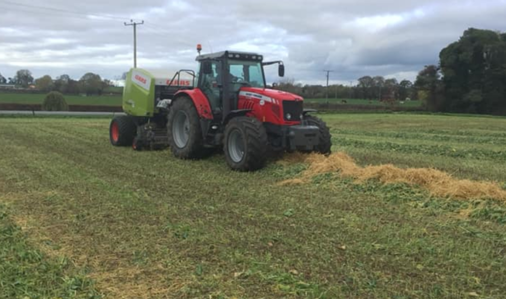 Thinking of baling forage crops? Here are some tips