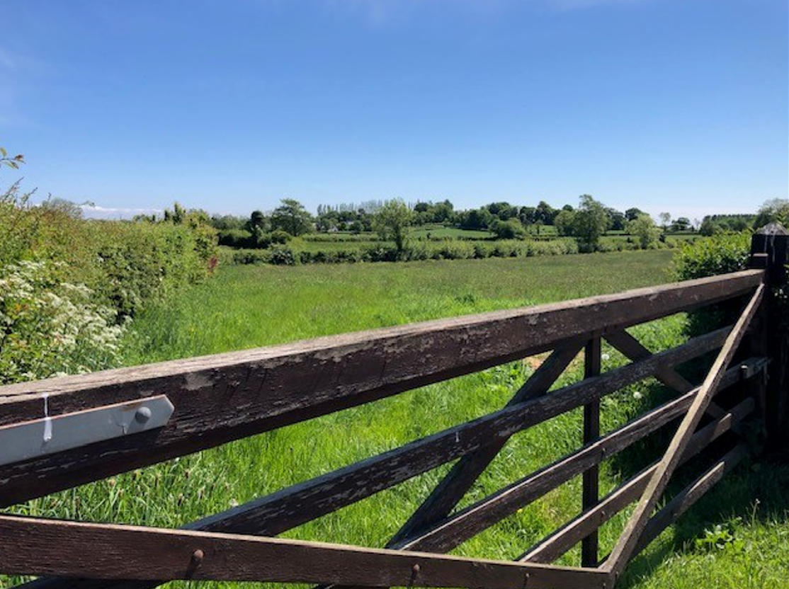 NI MP claims Tyrone cattle cull ‘one of biggest DAERA scandals’