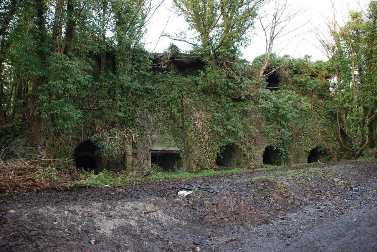 Man fined £50,000 for destroying historic lime kiln structures