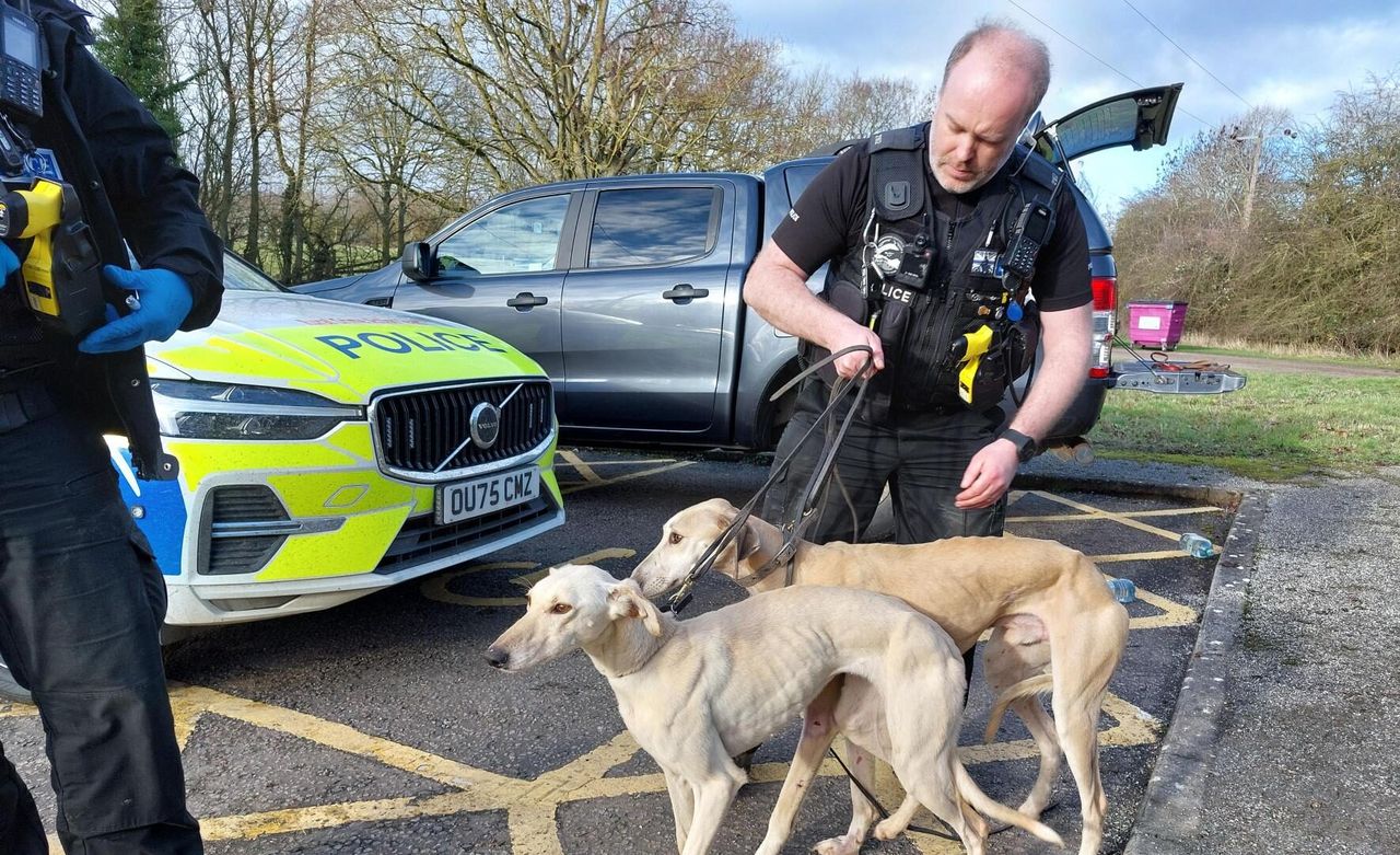 Watch: High speed police chase of hare coursing suspects in Cambridgeshire