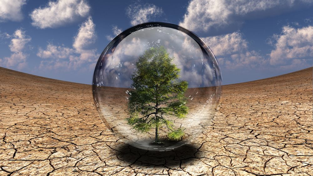 Climate change is having an impact in a wetter, warmer Ireland          
